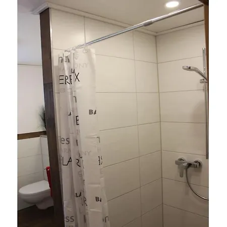 Forgetful The Big One Apartment Titisee-Neustadt